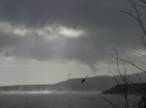 Stoomduivel boven het Champlainmeer. Bron: wikipedia