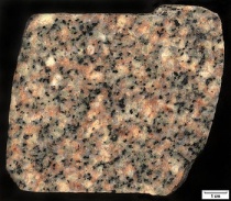 Kwarts-monzoniet, een dieptegesteente waarin plagioklaas het belangrijkste mineraal vormt, aangevuld met kwarts en kaliveldspaat. Handstuk uit een boorkern bij Cape Cod, Massachusetts (VS). Bron: Wikipedia