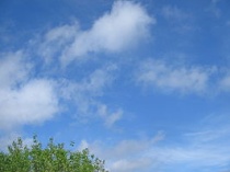 Cumulus fractus. Bron: Wikipedia