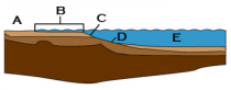 Schematisch overzicht van de overgang tussen continent en oceaan: A = continent; B = continentaal plat; C = continentale helling; D = continentale verheffing; E = oceaan (abyssale vlakte). Bron: Wikipedia