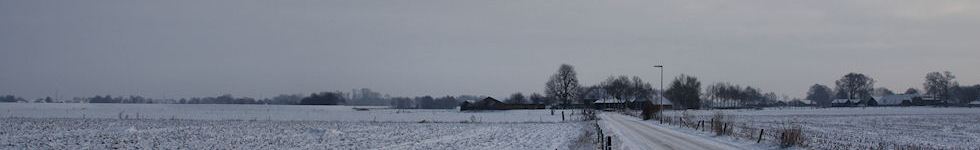 header photo