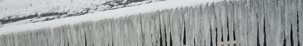 header photo