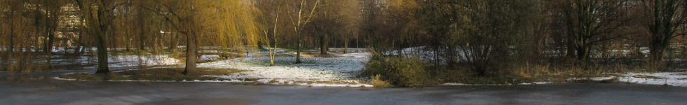 header photo