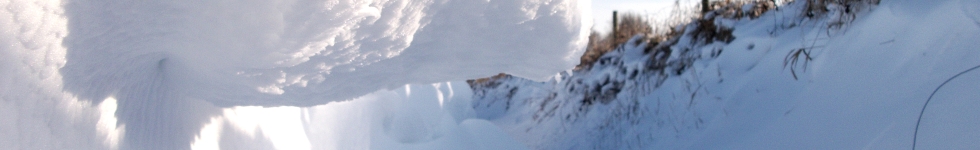header photo