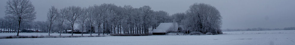header photo
