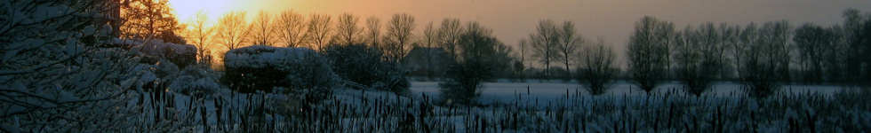 header photo