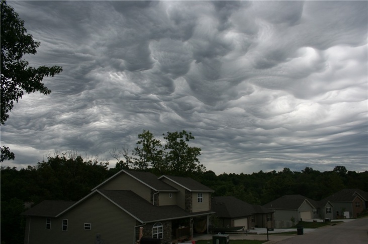 asperatus_6.jpg