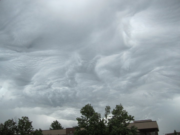 asperatus_9.jpg