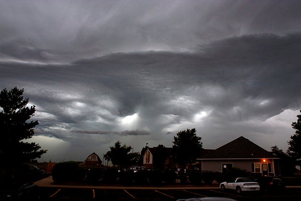 asperatus_10.jpg