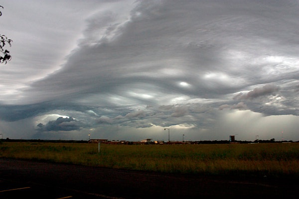 asperatus_10a.jpg