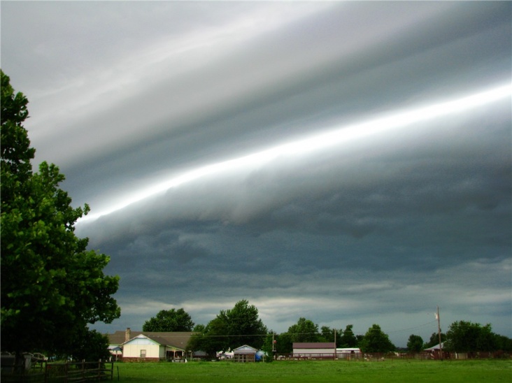 asperatus_11.jpg