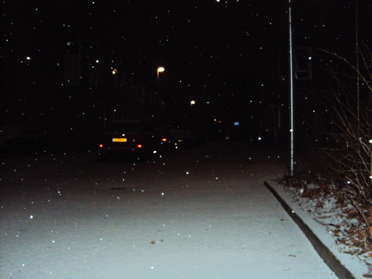 0400.JPG