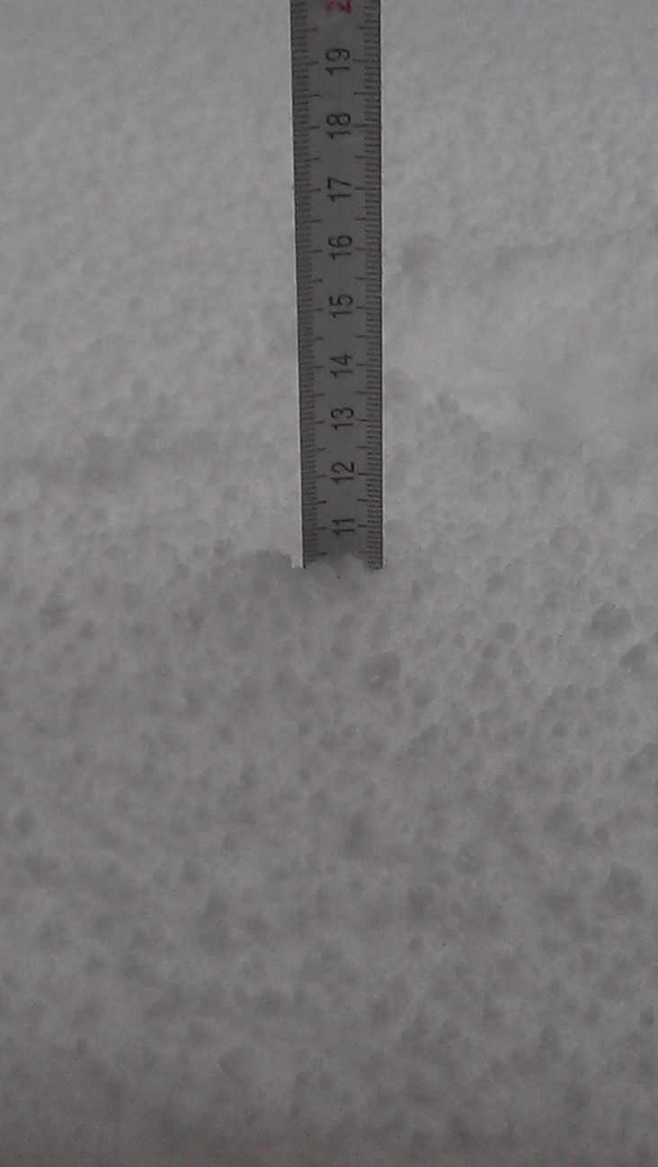 IMAG0283.jpg