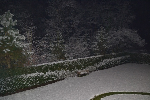 meersneeuw003.jpg