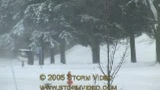 Sneeuw 2005