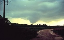 een Cumulonimbus tuba die de grond aan het naderen is. Bron: Wikipedia