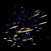 Een meteorenzwerm. Bron: Wikipedia