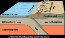 Convergentie van oceanische met continentale korst. Bron: Wikipedia