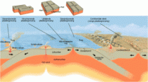 Belangrijkste verschijnselen van platentektoniek. Bron: Wikipedia