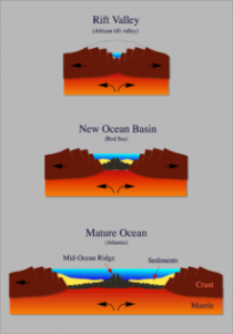 Schematische voorstelling van de ontwikkeling van een riftzone tot een nieuwe oceaan. Bruin is continentale lithosfeer; grijs oceanische lithosfeer; geel is sediment; oranje de asthenosfeer.Bron: Wikipedia