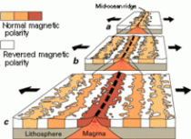 ontstaan van magnetische zones op de zeevloer. Bron: Wikipedia