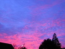 Avondrood in Noord-Holland, Bron: Wikipedia