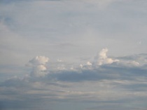 Stratocumulus castellanus. Bron: wikipedia