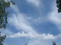 Stratocumulus castellanus. Bron: wikipedia