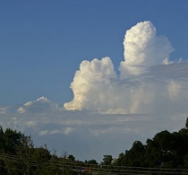 Cumulus congestus. Bron: Wikipedia