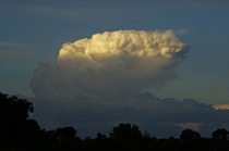 Cumulonimbus capillatus. Bron: Wikipedia