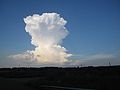 Cumulonimbus capillatus. Bron: Wikipedia