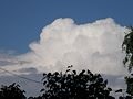 Cumulonimbus calvus, zonder duidelijke toppen. Bron: Wikipedia