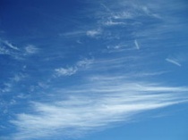 Cirrus floccus. Bron: Wikipedia