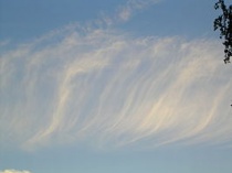 Cirrus fibratus. Bron: Wikipedia