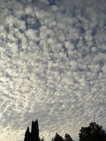 Altocumulus stratiformis. Bron: Wikipedia