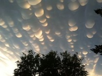 Mammatus. Bron: Wikipedia