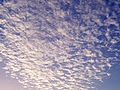 cirrus fibratus. Bron: Wikipedia