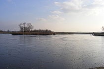 De veenlens in de Grote Geule te Kieldrecht. Bron: Wikipedia