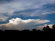 Aambeeldvormige cumulonimbus. Bron: Wikipedia