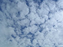 Altocumulus stratiformis. Bron Wikipedia