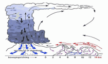 Dwarsdoorsnede van een zware onweersbui, die van links naar rechts beweegt. Pijlen geven de luchtstroming weer. (Bron: Kees Floor, Weerkunde voor iedereen)