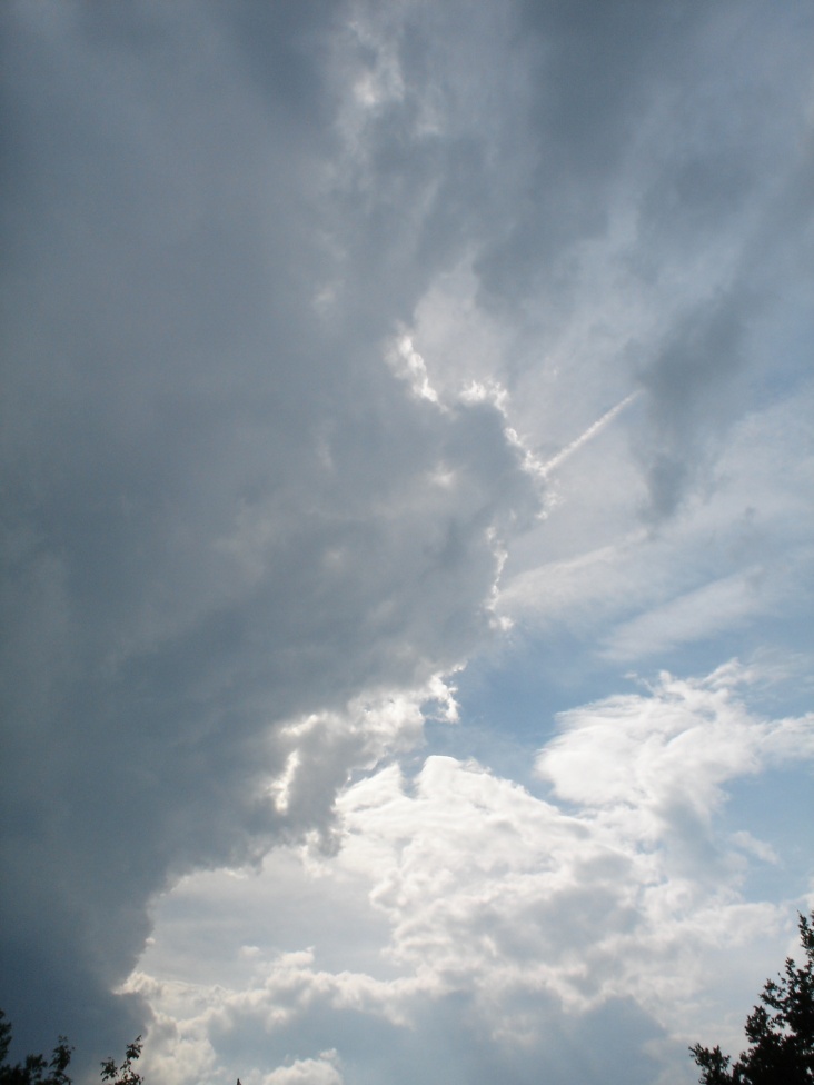 DSC00142.JPG