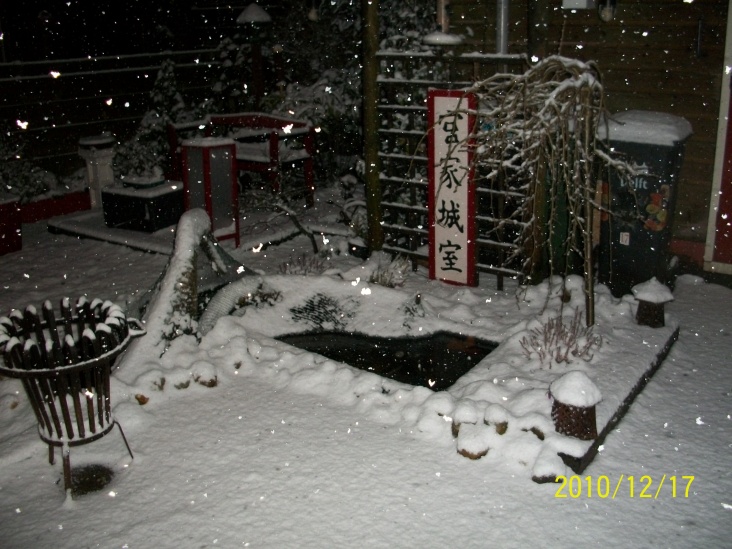 Alweer_sneeuw17_12_2010.JPG