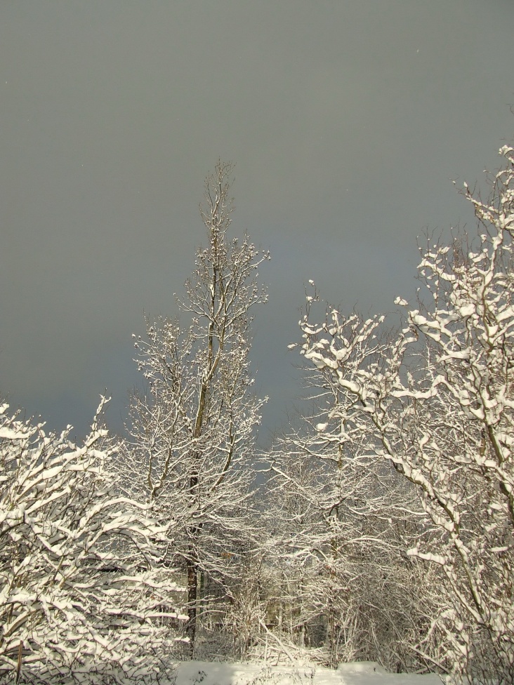 DSCF5522.jpg