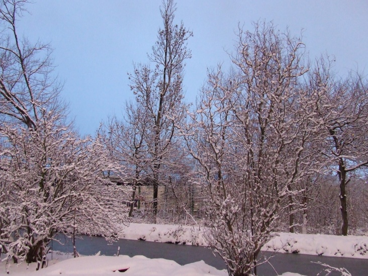 DSCF5534.JPG