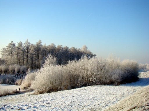 DSC02896__50__.JPG