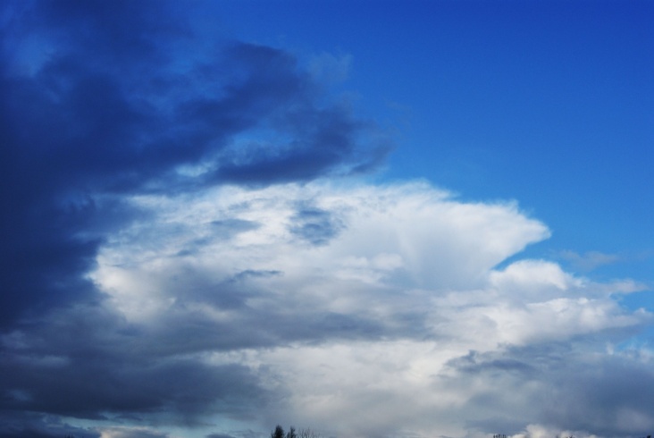 DSC04988__50__.JPG