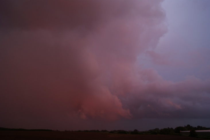 DSC05455.JPG