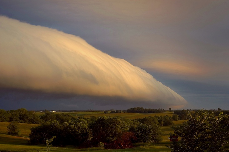 rollcloud_bush_big_scherpere_foto.jpg