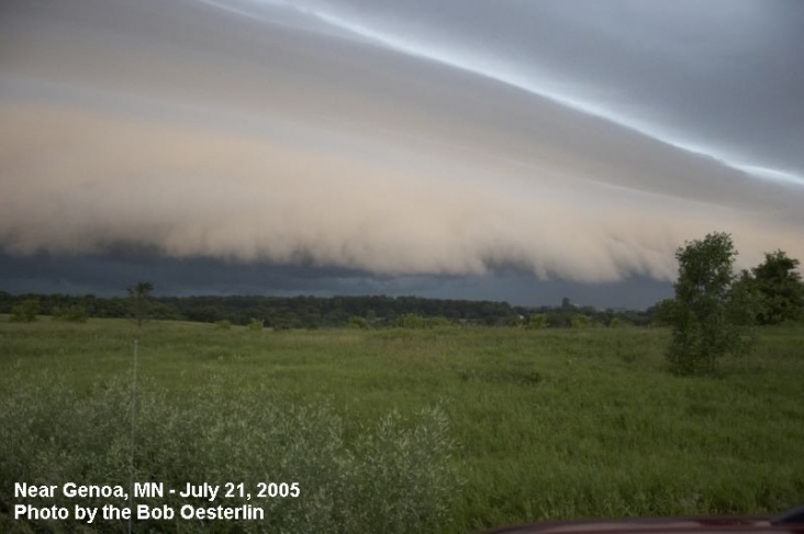 shelfcloud2.jpg